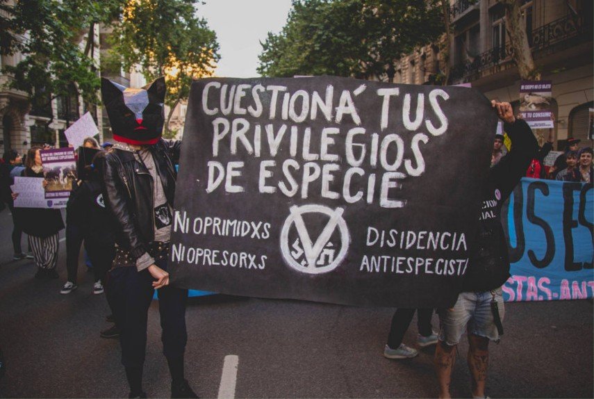 Veganismo, mas allá de un estilo de vida, una lucha para la liberación animal