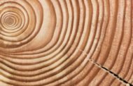 Corazón de Madera