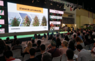 Vuelve Expo Cannabis a Buenos Aires