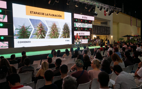 Vuelve Expo Cannabis a Buenos Aires