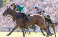 El 132° Abierto de Polo de Palermo: Días cruciales y el regreso de una leyenda en la fase culminante