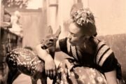 Viva Frida: el arte de convertir el dolor en identidad.