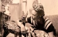 Viva Frida: el arte de convertir el dolor en identidad.