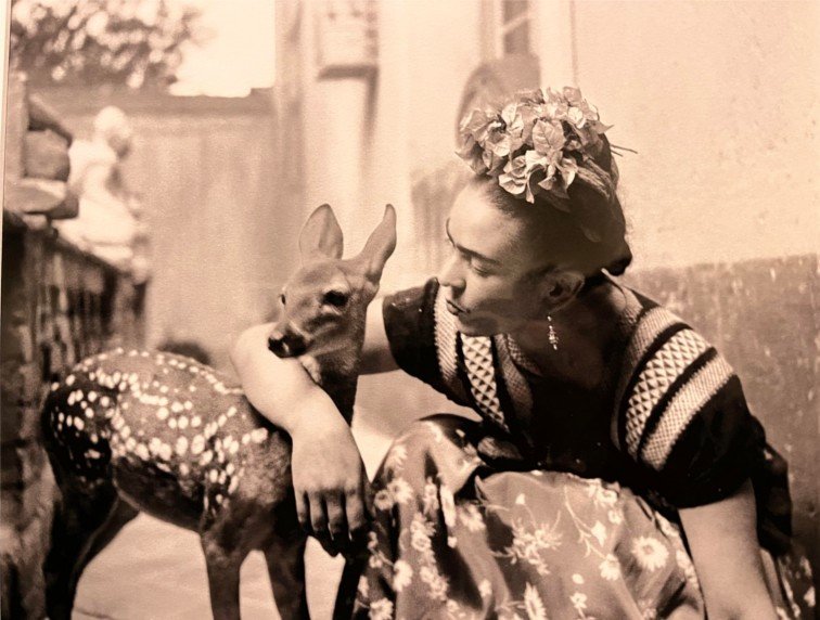 Viva Frida: el arte de convertir el dolor en identidad.